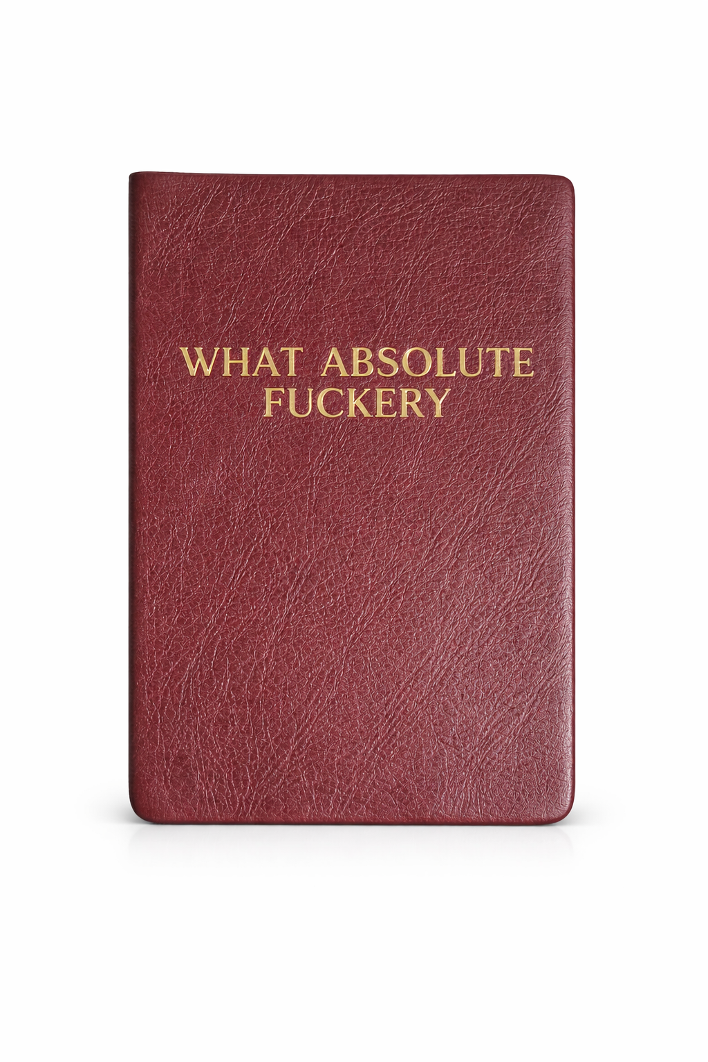 What Absolute Fuckery – Pocket Journal